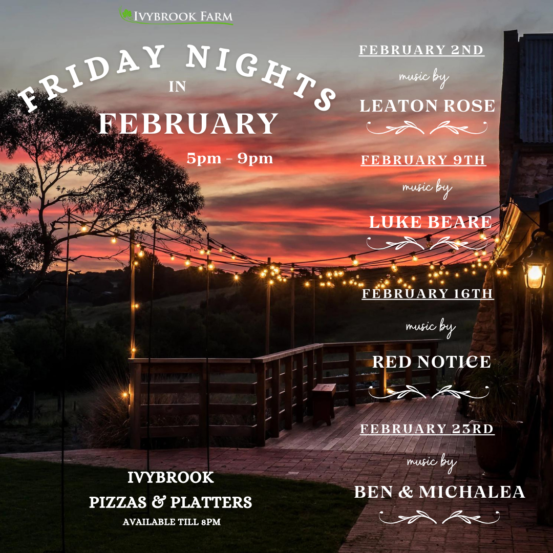 Friday Nights in February